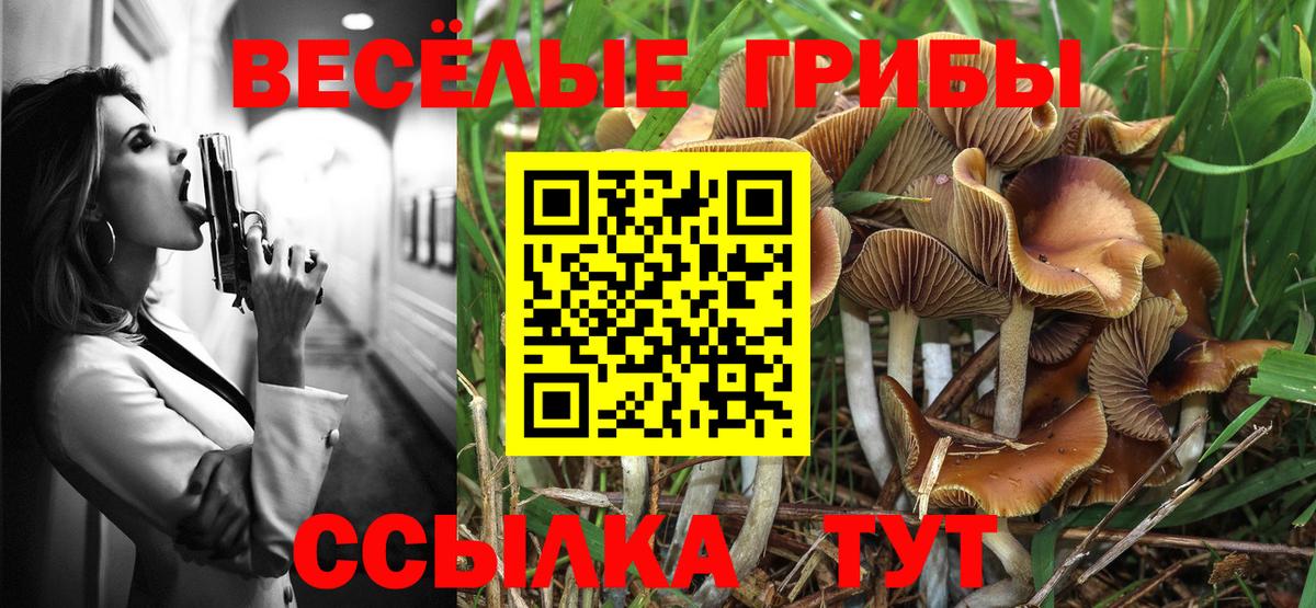 купить  сайты  Псилоцибиновые грибы прущие грибы  Вход с VPN  Алушта 